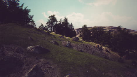 serene landscape with lush greenery and rocky outcrops under a clear sky