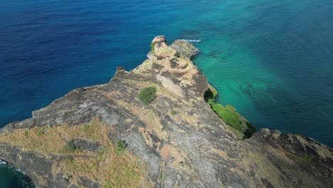 rocky coastal outcrop with lush vegetation and vibrant blue sea, captured from above