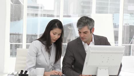 two businesspeople working seriously at a computer