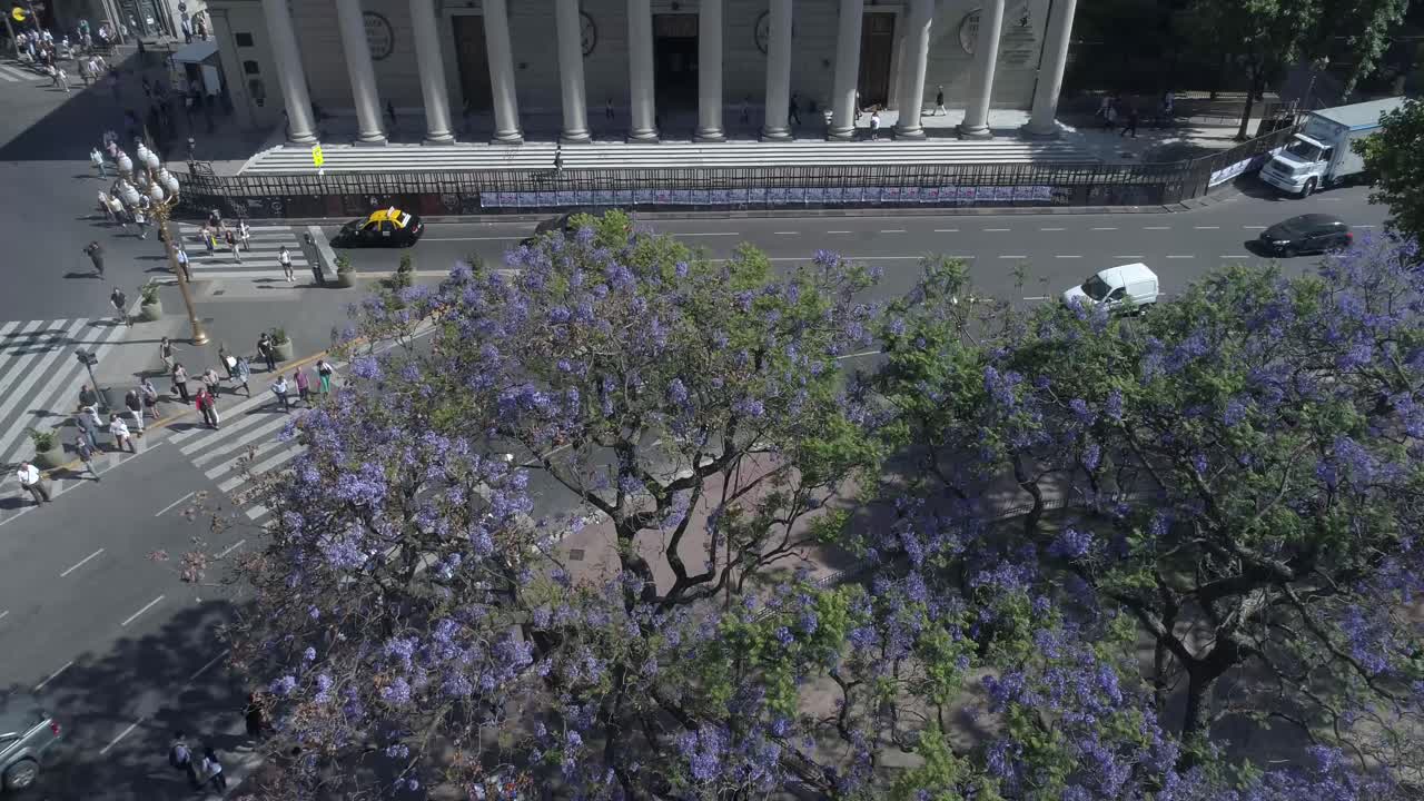 escena aerea de la catedral metropolitana argentina