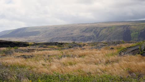 Zeitlupenansicht-Der-Seite-Des-Vulkans-Mauna-Kea-Von-Der-Ozeanseite-Mit-Alten-Lavaströmen-Und-Vegetation