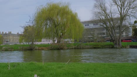 Calm-riverbank-scenery-with-trees,-homes,-shops,-and-people-along-the-banks