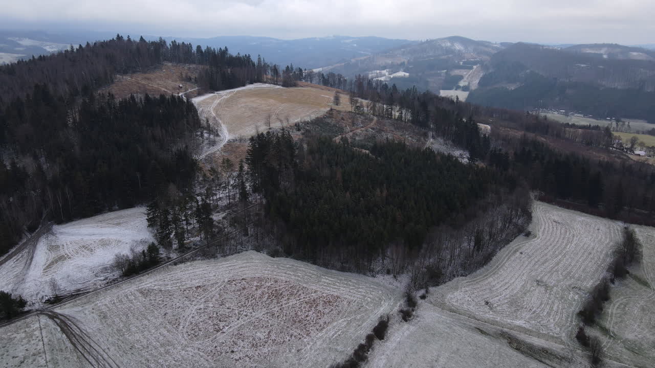 가벼운 눈이 내리기 시작할 때 나무 위를 날고 숲을 내려다보는 것