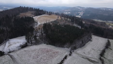 volando sobre los árboles y con vistas al bosque durante una ligera nevada que comienza