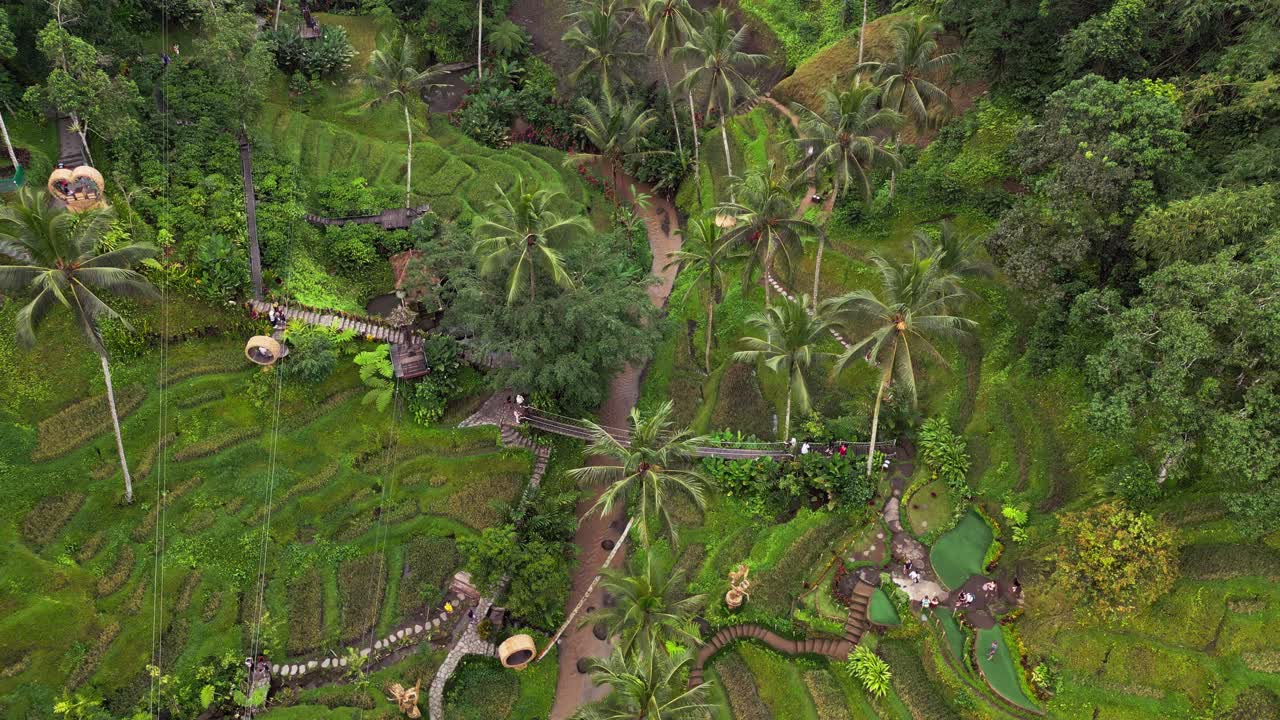 Drone video of a tropical adventure park in Ubud featuring flowing river paths, sculpted rice terraces, tall palms, and hillside swing platforms set within the vibrant green Bali jungle scenery