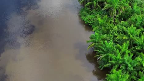 river flowing through brazil's pantanal habitat area - aerial view