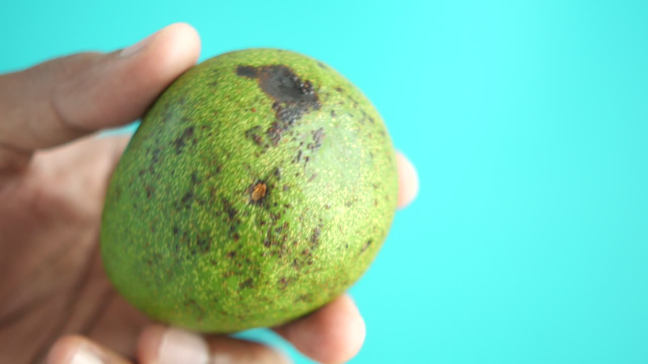 아보카도 의 근접 촬영