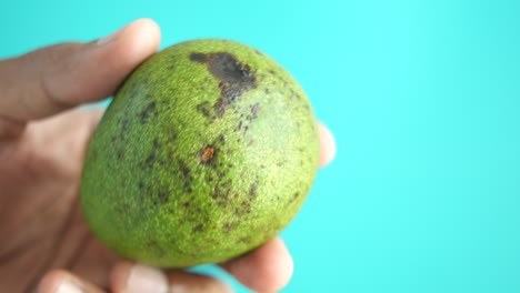 una fotografía de cerca de un aguacate