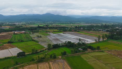 aerial view of rice paddies and farmland