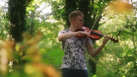 beautiful outdoor music performance of young caucasian man playing violin