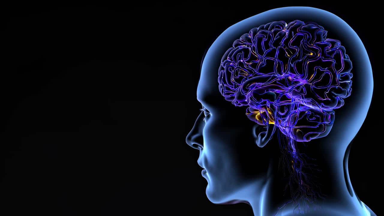 Illustrazione laterale di un cervello luminoso all'interno di una testa umana su uno sfondo scuro