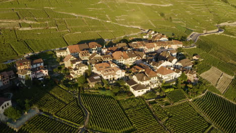 Hermoso-Y-Pequeño-Pueblo-De-Epesses-En-Los-Viñedos-De-Lavaux-De-Suiza---Toma-Aérea