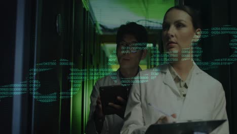 animación de la cadena y el procesamiento de datos en diversos ingenieros de ti por servidores informáticos
