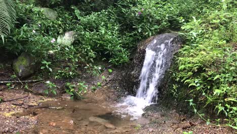 Schöner,-Ruhiger-Und-Friedlicher-Wasserfall-In-Einem-Tropischen-Regenwald