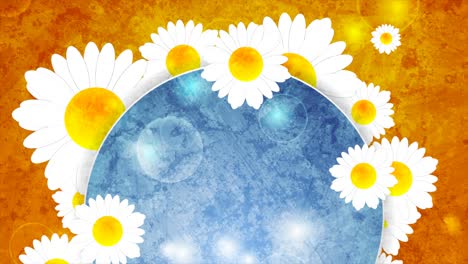 colorful grunge summer motion background with camomiles