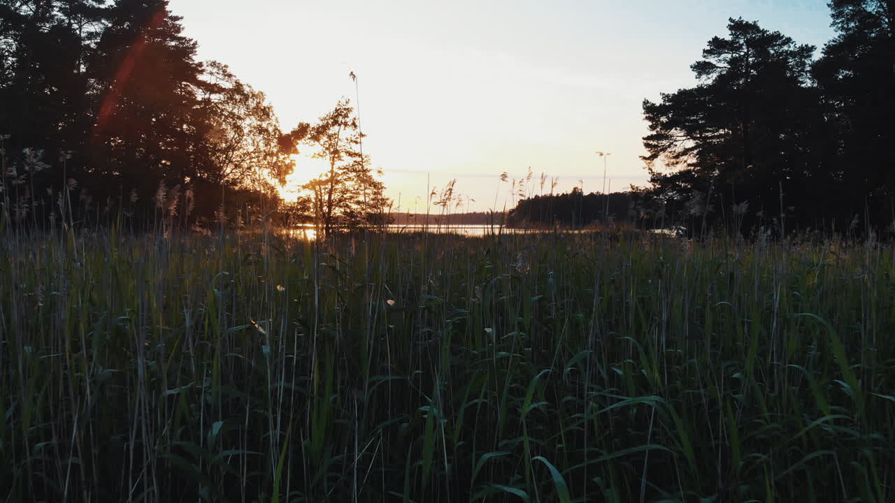 핀란드 남부 해안 군도의 드론 샷