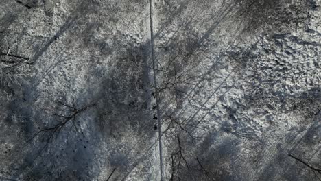 group of people hike in frozen white winter forest snowy path, aerial overhead