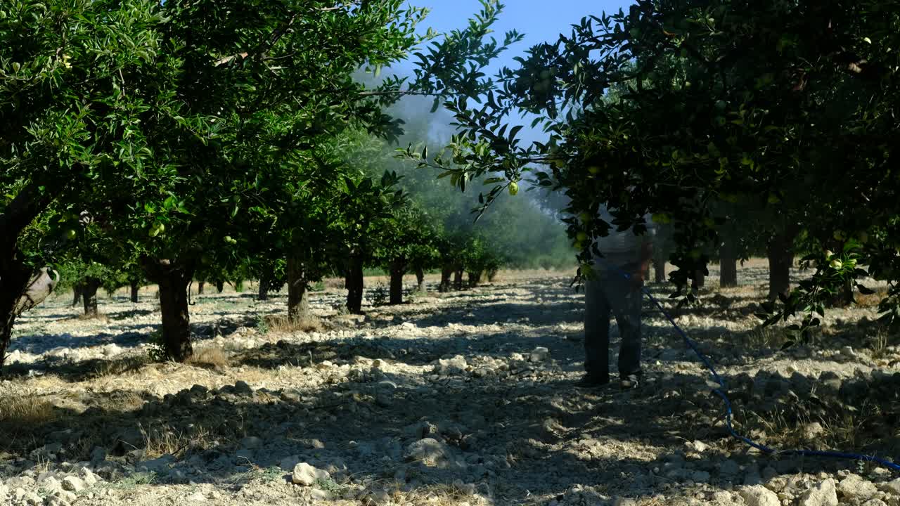 el hombre pulveriza medicina en el huerto de manzanas.