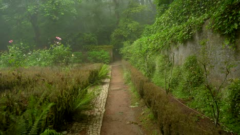 Rand-Des-Pena-Parks-Bedeckt-Mit-Mysteriösem-Nebel