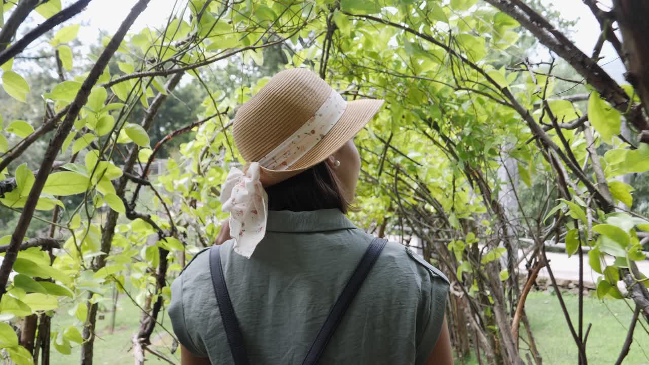 tranquila viajera compuesta en asombro de brissago suiza