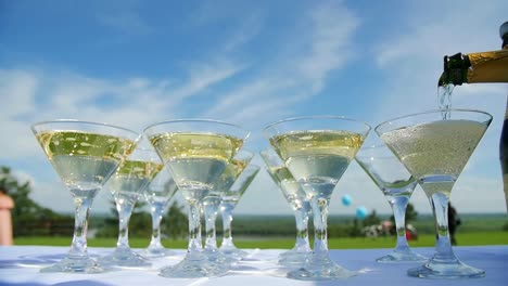champagne toasting