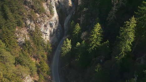 road winding through a green and sunny valley