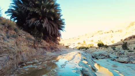 Un-Río-En-Medio-Del-Desierto-Del-Sahara-Argelia-Biskra