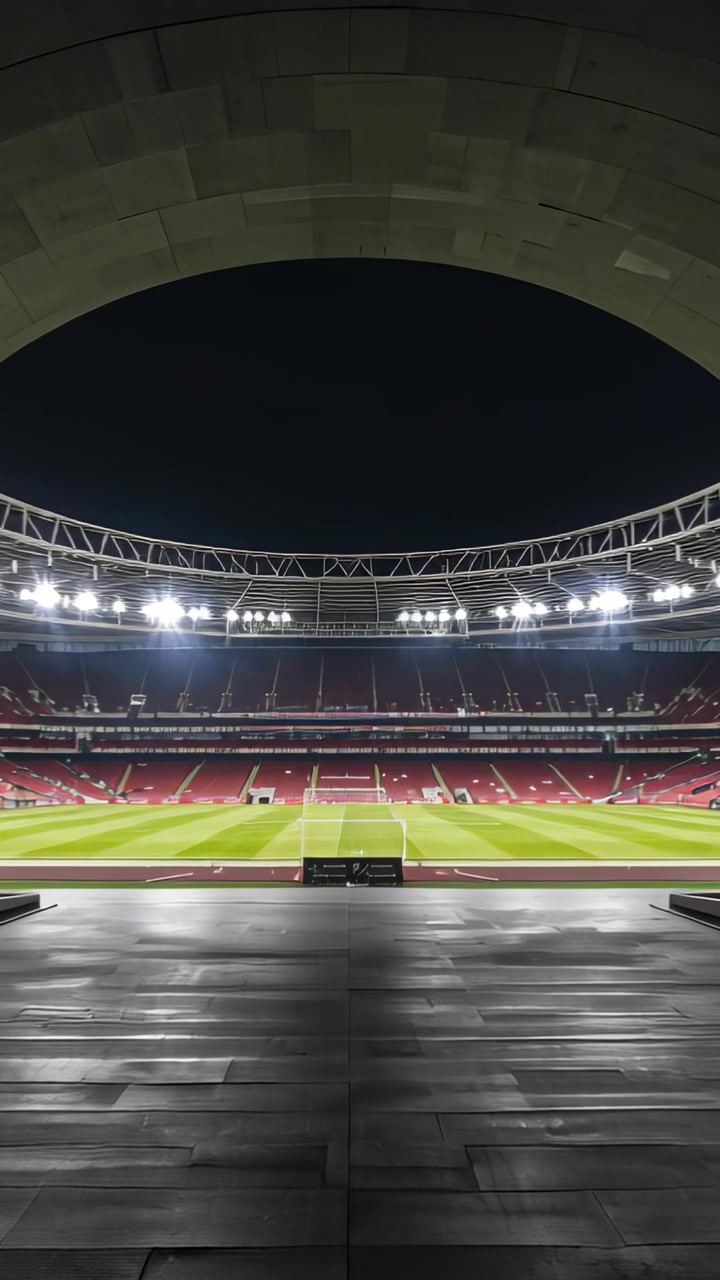 Video verticale: Telecamera in movimento che avanza da un tunnel per rivelare il campo dello stadio con porta e sedili rossi.