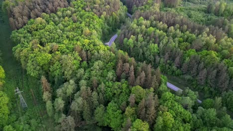 Drone-flight-over-a-forest-with-a-winding-road-and-high-voltage-power-lines