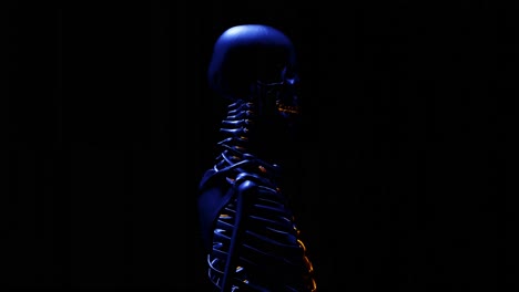 Blaues-Skelett---Orange---360