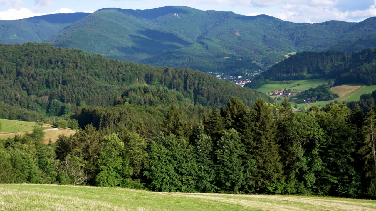 cámara panorámica de izquierda a derecha sobre un hermoso paisaje de selva negra