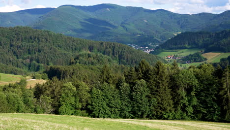 Kameraschwenk-Von-Links-Nach-Rechts-über-Eine-Wunderschöne-Schwarzwaldlandschaft