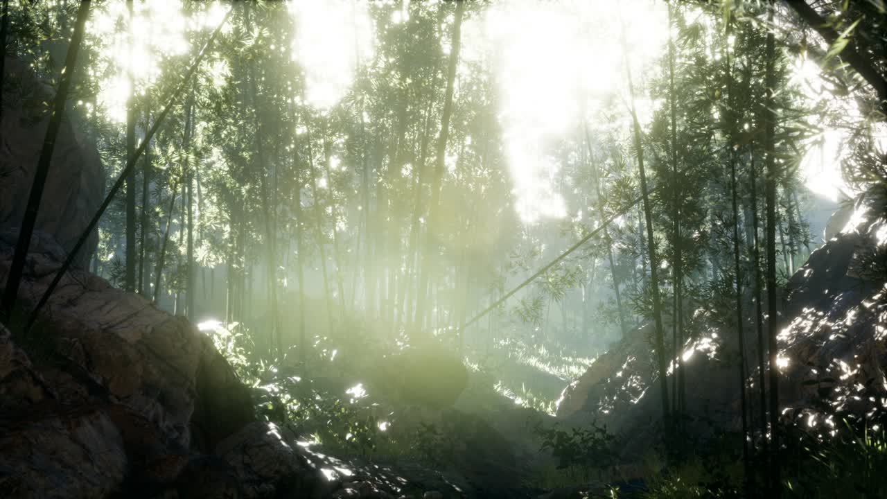 돌이 있는 연못의 연안 근처에 있는 울창한 초록색 대나무 잎.