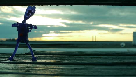 dancing toy at sunset