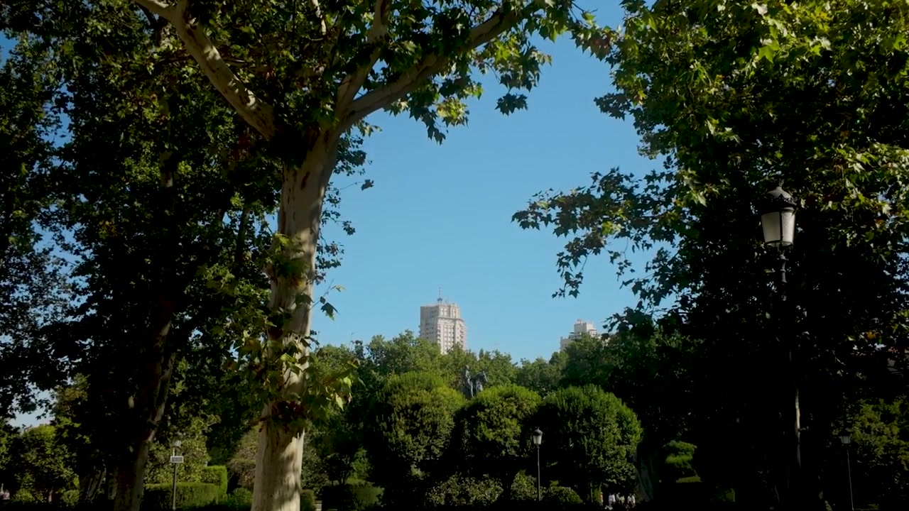 Uma vista panorâmica de um parque público em Madrid, Espanha, com árvores verdes vibrantes emoldurando um edifício distante da cidade sob um céu azul claro. Ideal para conteúdo de viagens e natureza urbana