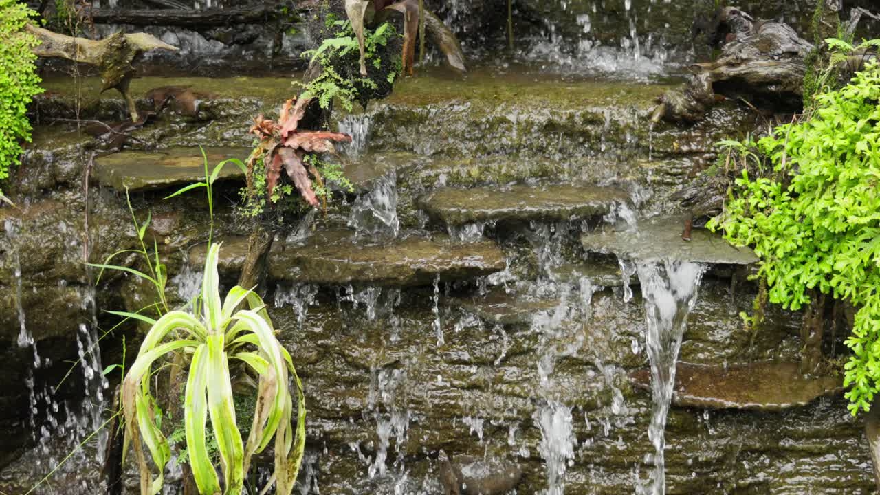 Small waterfall with tropical plants growing around it. Slow motion
