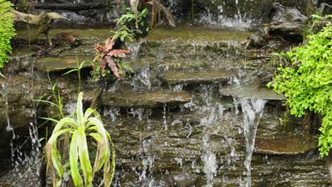small waterfall with tropical plants growing around it. slow motion