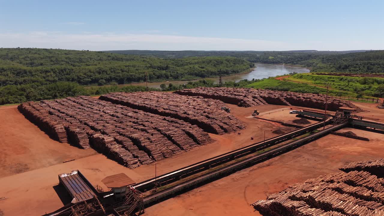 Weite Panorama-Luftaufnahme von massiven und angeordneten Kiefernstämmen in einer Holzfabrik