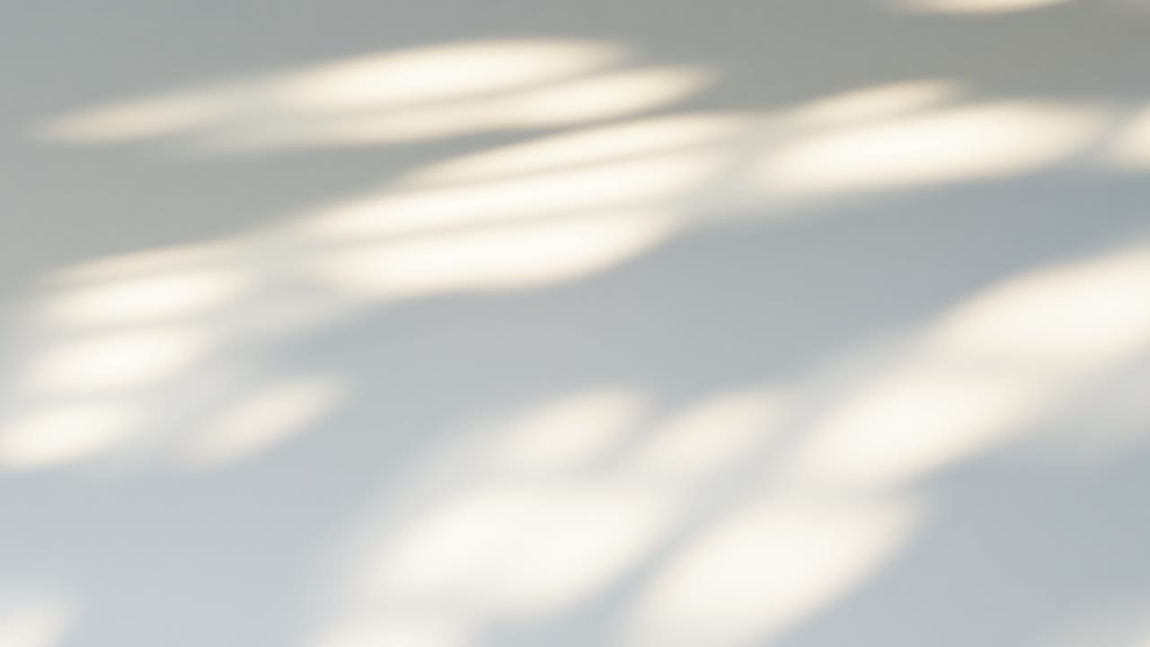 Soft Sunlight Shadows Moving Abstractly on a White Wall