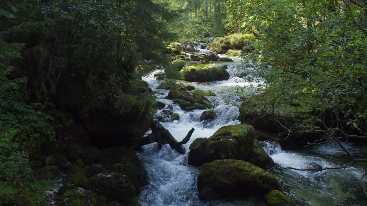4K fredelig alpebæk gennem skov i Oberösterreich, vidvinkeloptagelse, sommer