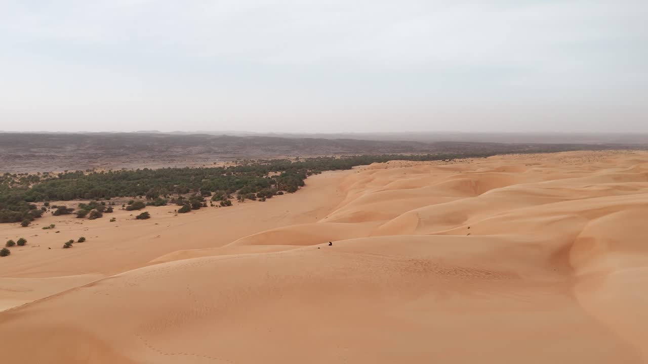 Aerial drone view of Azouiega desert sand dunes with sparse vegetation, golden rippling landscape meeting green patches under dramatic Sahara sunlight horizon