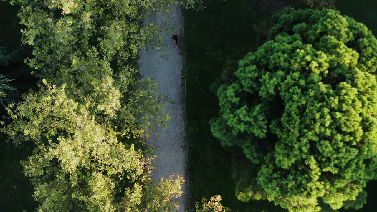 Corritrice su sentiero per jogging all'aperto in un parco, veduta aerea dall'alto