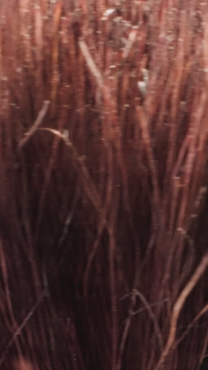 Long bristles of old cosmetic brush used for facial makeup at bright studio light. Professional product for applying blush on black background macro