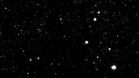 snowfall overlay on black background. infinitely looped animation