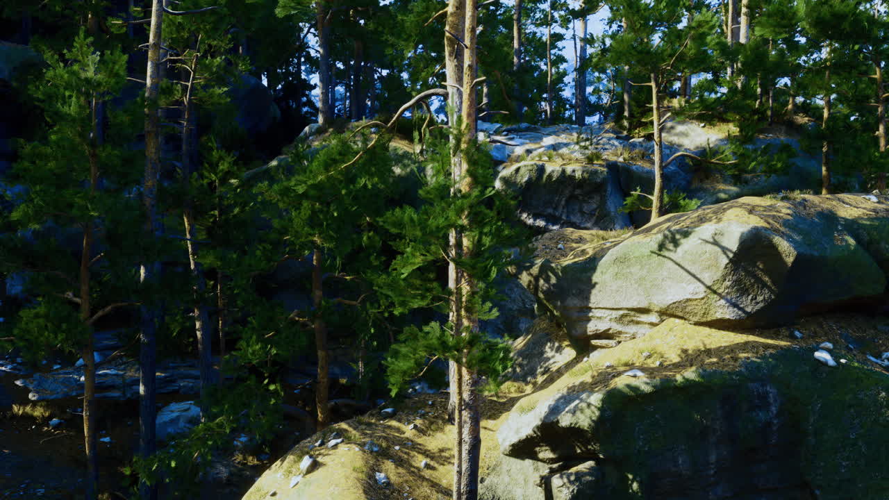 Green trees and rocky terrain under bright sunlight in a natural setting