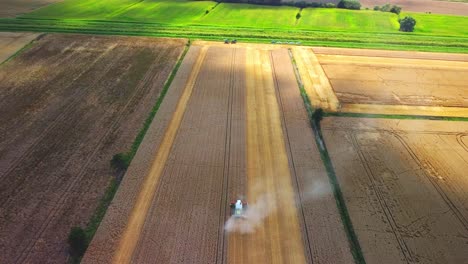 Tiempo-De-Cosecha-En-El-Campo,-Vista-Aérea