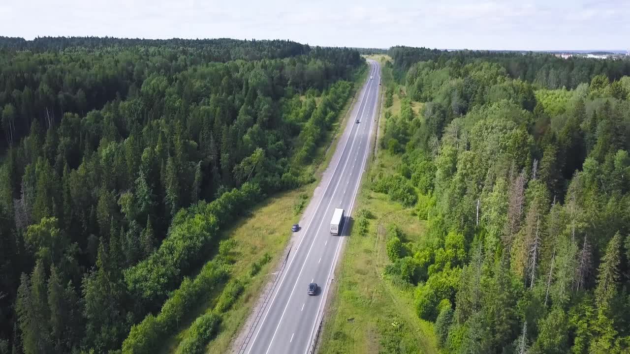 Шоссе через пышный зеленый лес