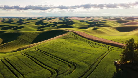 aerial view of a farm nestled in vast rolling green fields