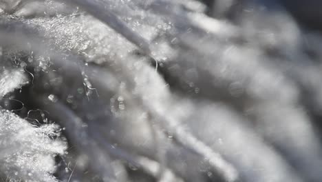 macro video showing textures and pile of a rug, treads and strands close up