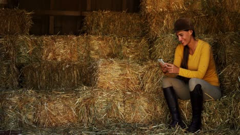 mujer usando teléfono móvil en el establo 4k